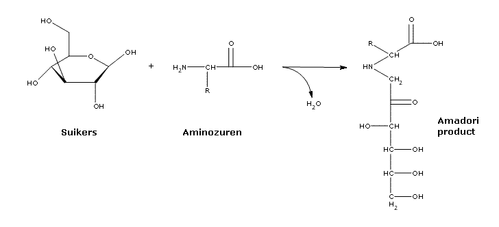 Vorming van het Amadori product uit suikers en aminozuren.
