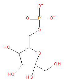 Fructose-6-fosfaat