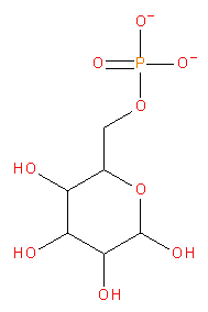 Glucose-6-fosfaat
